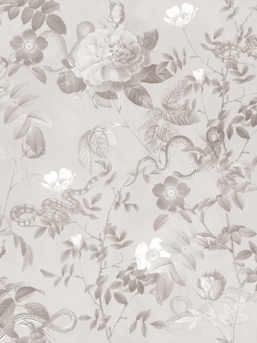 Vintage Botanical Floral Garden Dark Wallpaper Mural