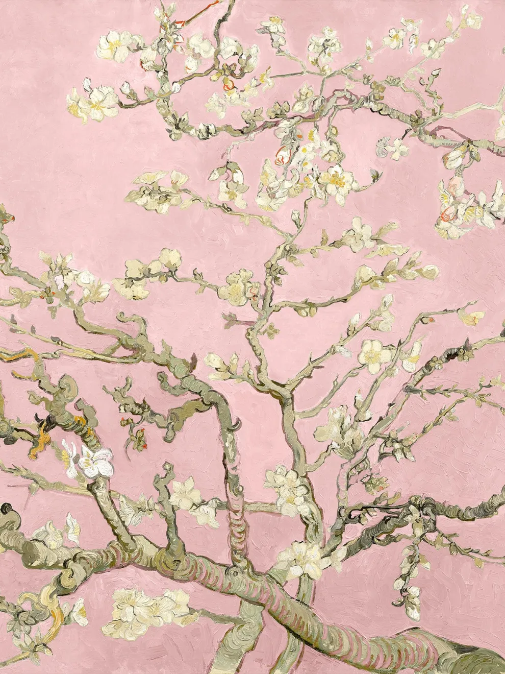 Van Gogh Almond Blossom Oil Paint Wallpaper Mural